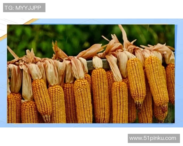 科学街舞技术训练方法探索与实践的全面指南