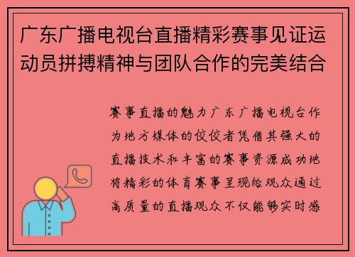 广东广播电视台直播精彩赛事见证运动员拼搏精神与团队合作的完美结合